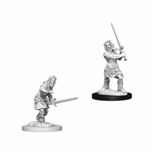 Male Human Barbarian (W6)