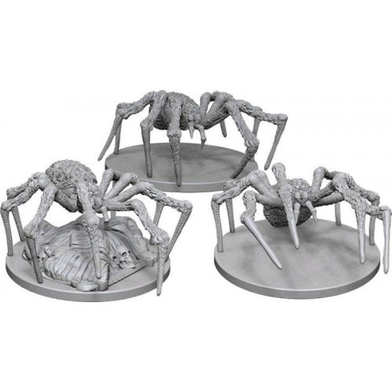 Spiders (W1)