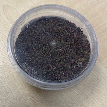 Warpainter Scenics 2mm Forest Floor Scatter