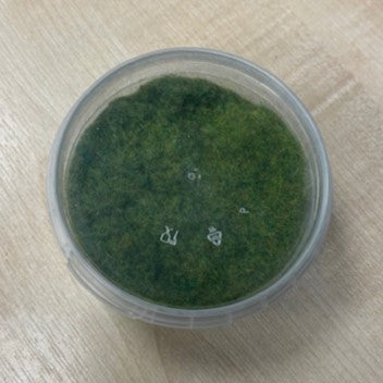 Warpainter Scenics 2mm Green Grass