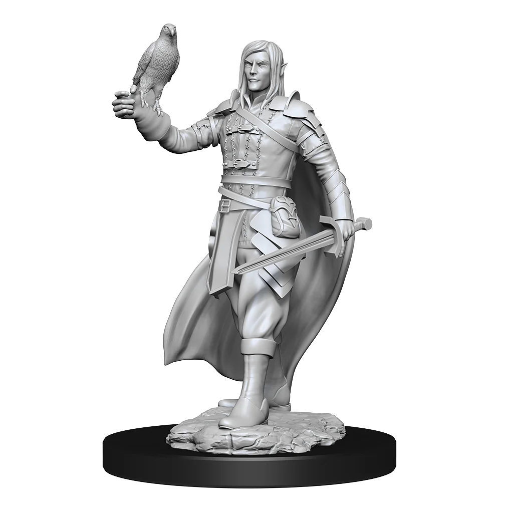 Elf Ranger Male (W13)