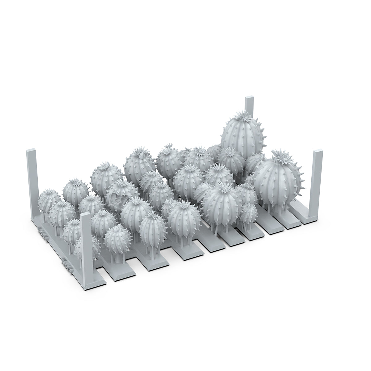 AKBIT0010 Cactus Barrel