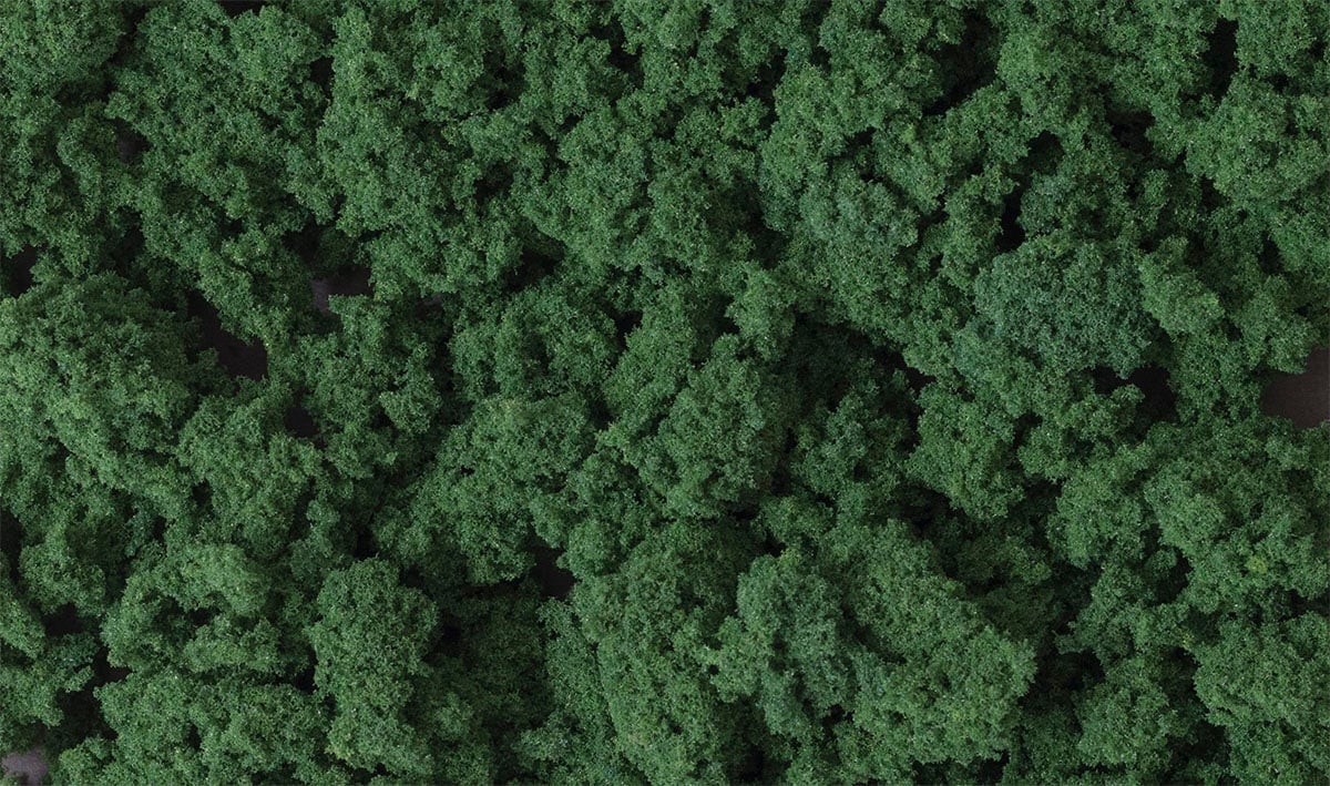 WFC684 Dark Green Clump Foliage