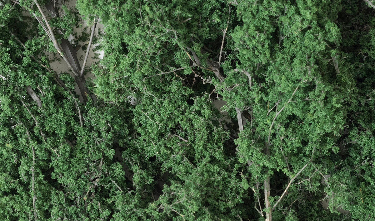 WF1130 Dark Green Fine Leaf Foliage