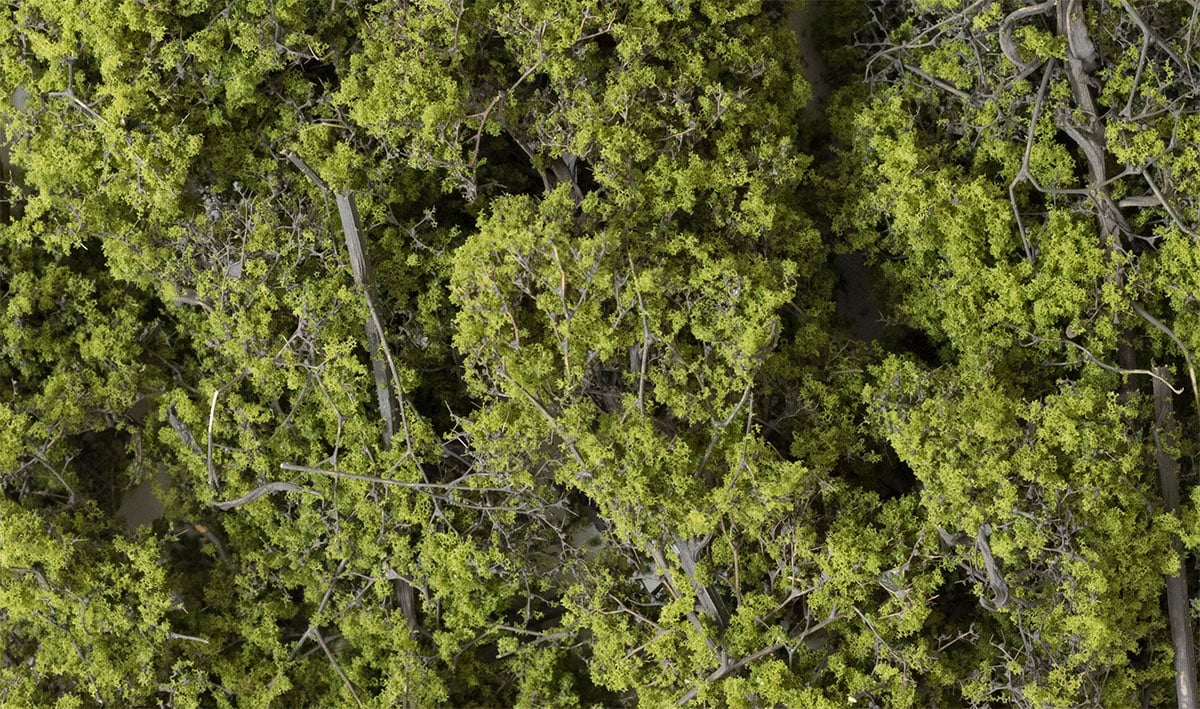WF1132 Light Green Fine Leaf Foliage