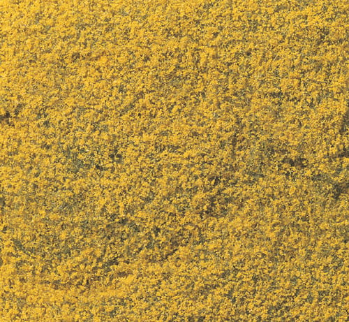 WF176 Yellow Flowering Foliage