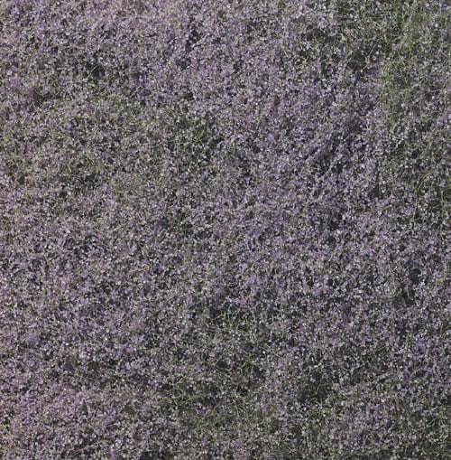 WF177 Purple Flowering Foliage