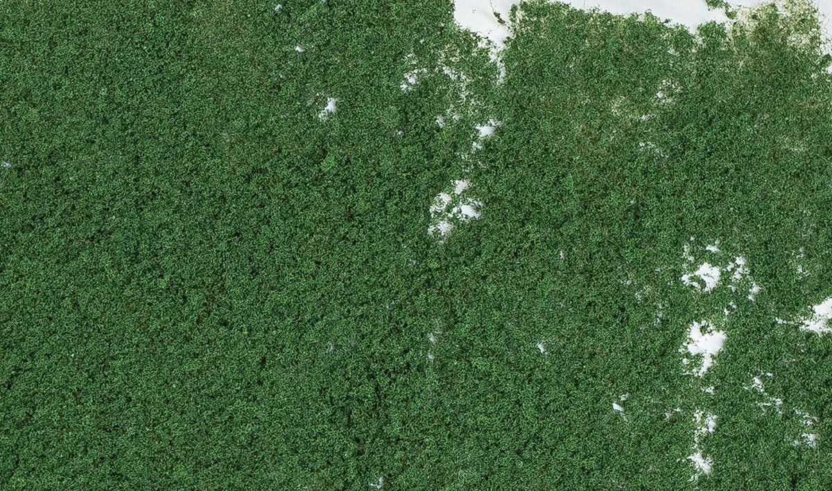 WF53 Dark Green Foliage