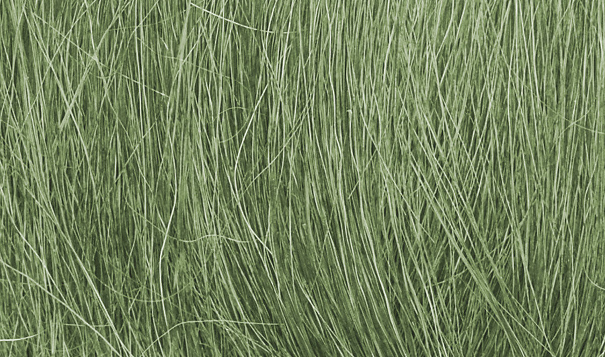 WFG174 Medium Green Field Grass