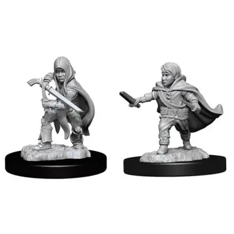 Halfling Rogue Male (W13)