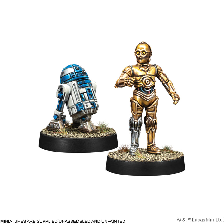 R2D2 & C-3PO Expansion