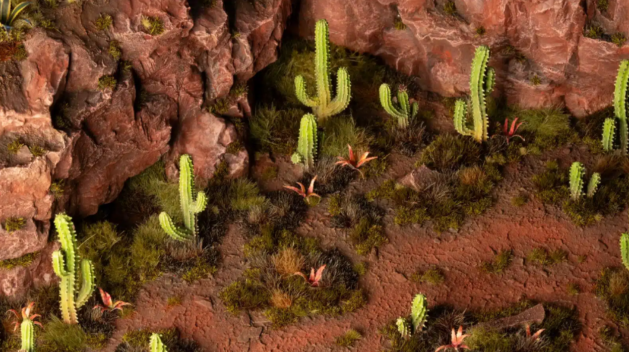 Basing Bits: Sanguaro Cacti