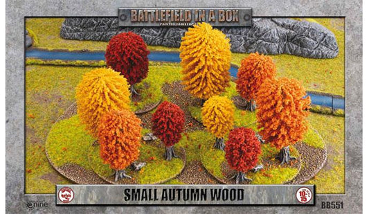 BB551: Small Autumn Wood