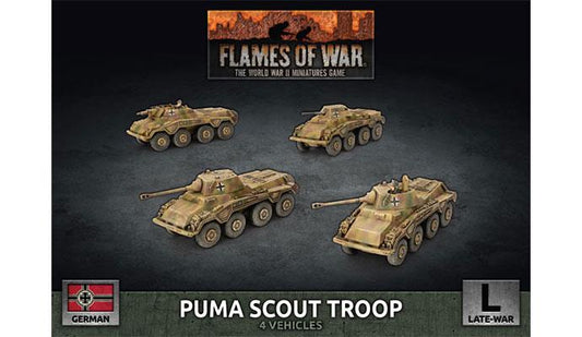 GBX172: Puma Scout Troop