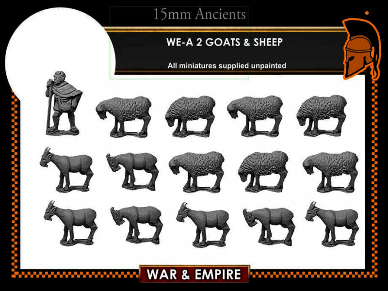 WE-A02: Sheep & Goats
