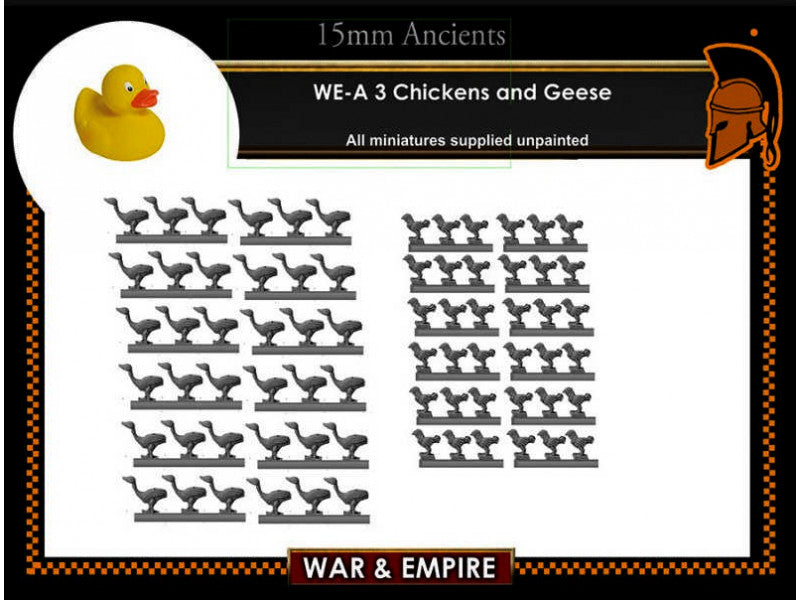 WE-A03: Chickens & Geese