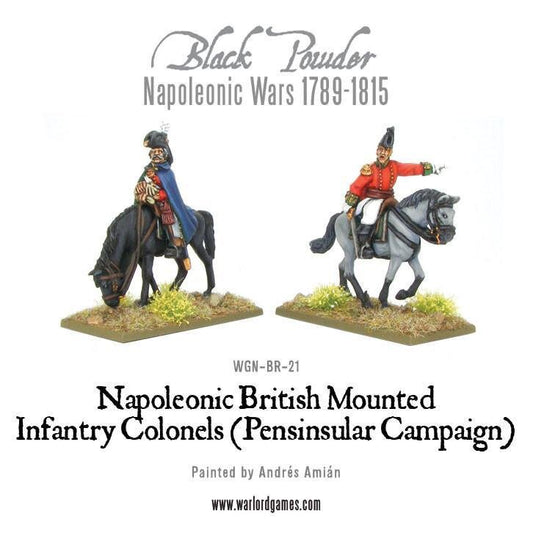 Napoleonic British Mounted Infantry Colonels (Peninsular)