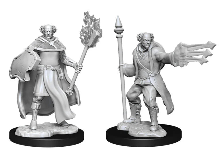 Multi Cleric & Wizard Male (W13)