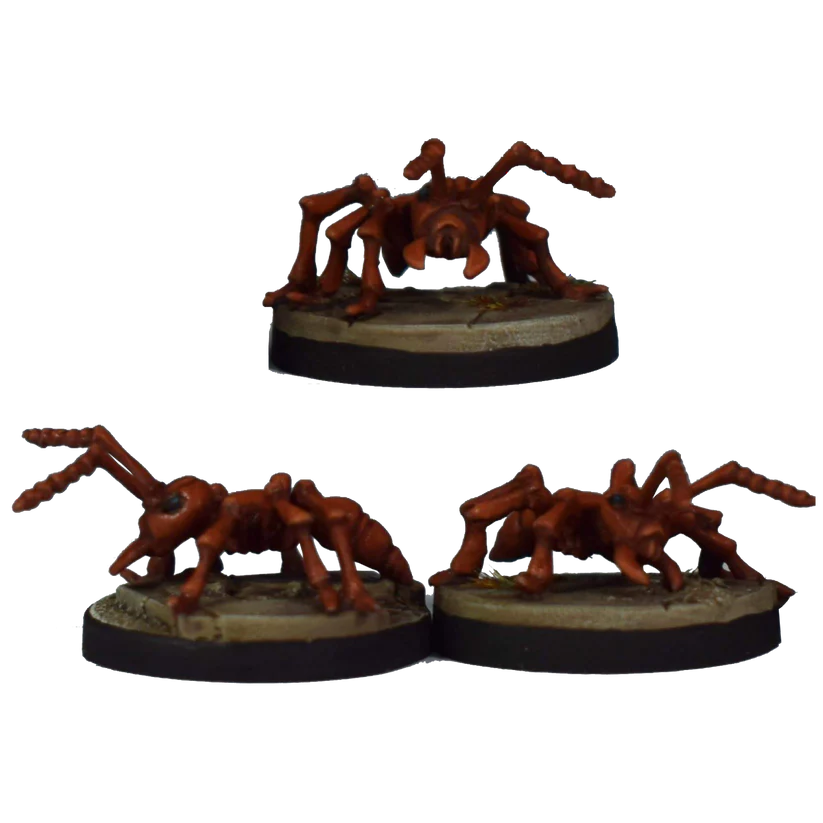 DEAL 179 Worker Ants (3)