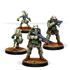 Hakims, Special Medical Assistance Group