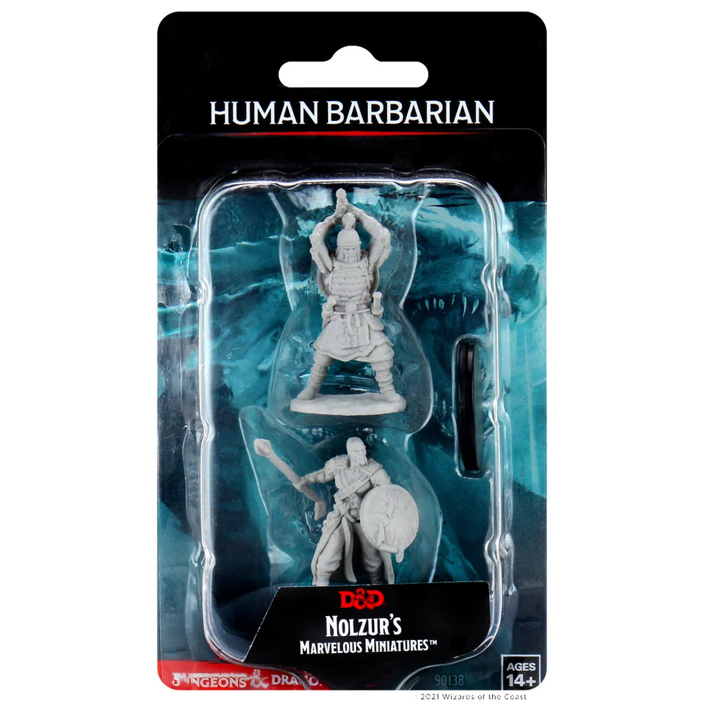 Human Barbarian Male (W13)