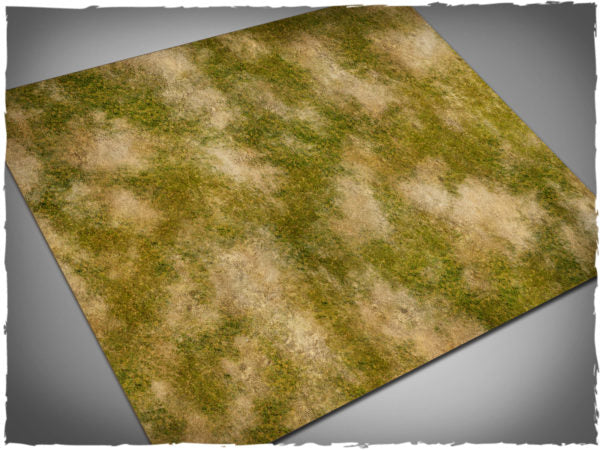 Iberian Plains 44 x 60 Mat
