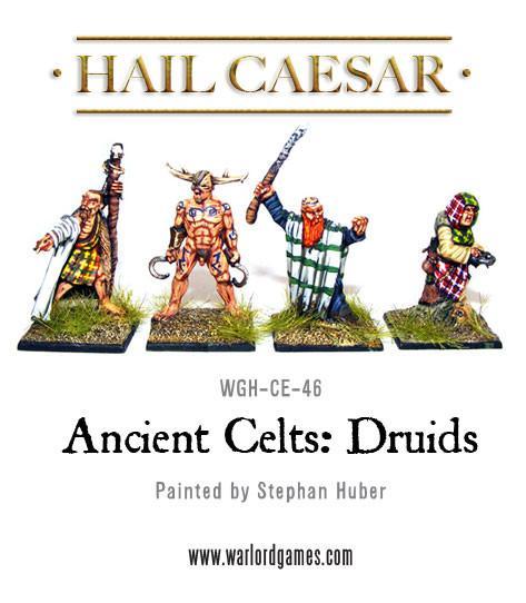Celt Druids