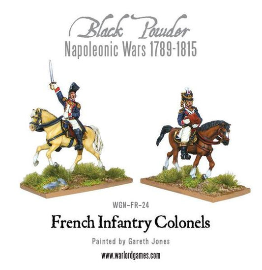 Napoleonic French Mounted Colonels
