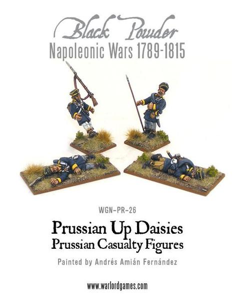 Napoleonic Prussian Landwehr Casualties