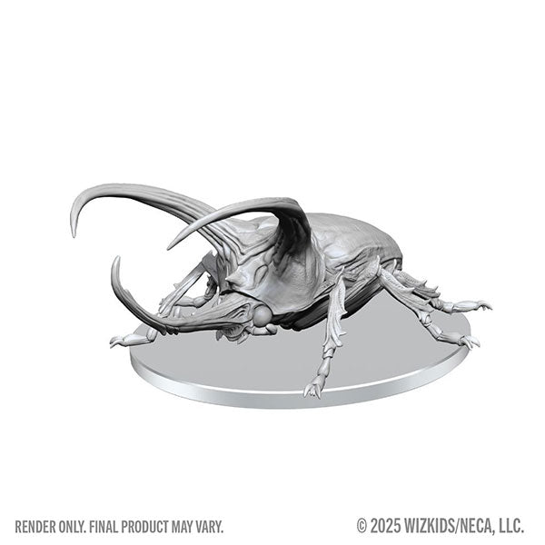 Giant Rhinoceros Beetle (W28)