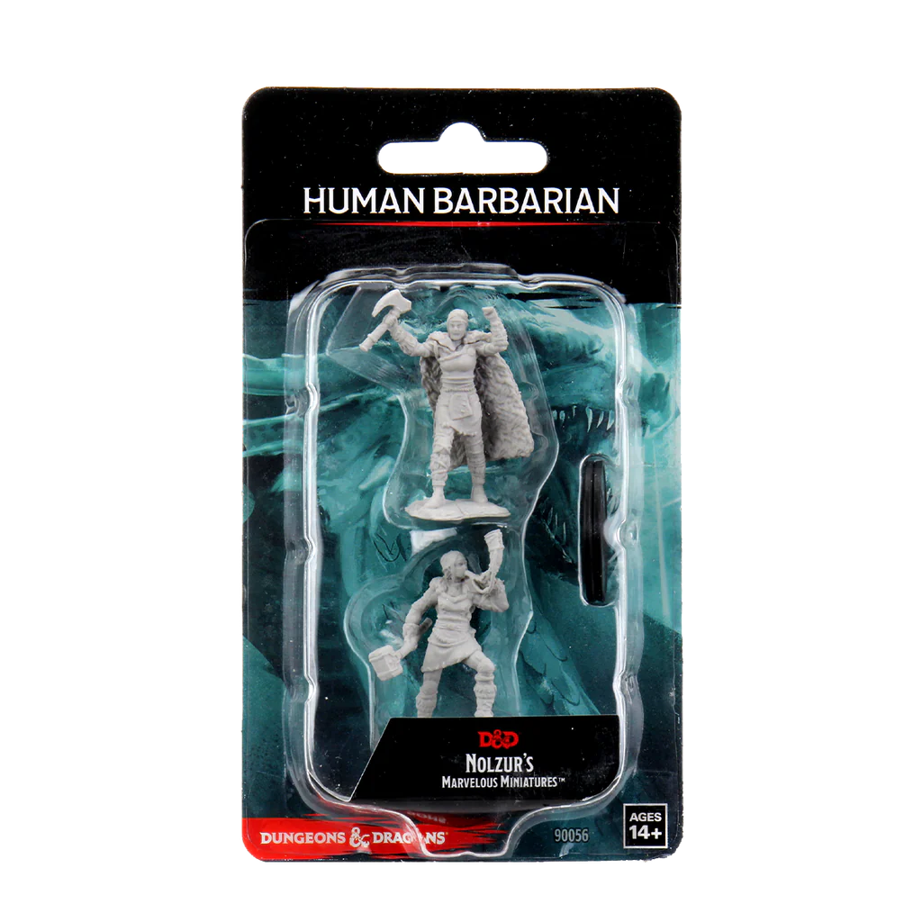 Female Human Barbarian (W12)