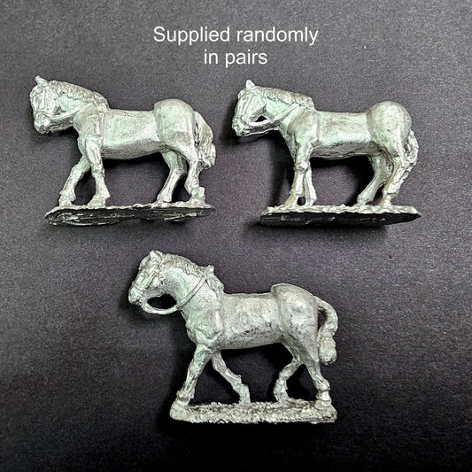 A Pair of Horses in Bridles