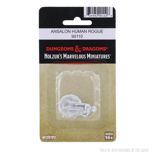 Ansalon Human Rogue (W23)