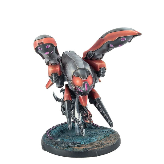 Skyhounds, Combat and Recon Air Squadron