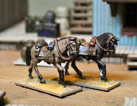 Riderless Horses