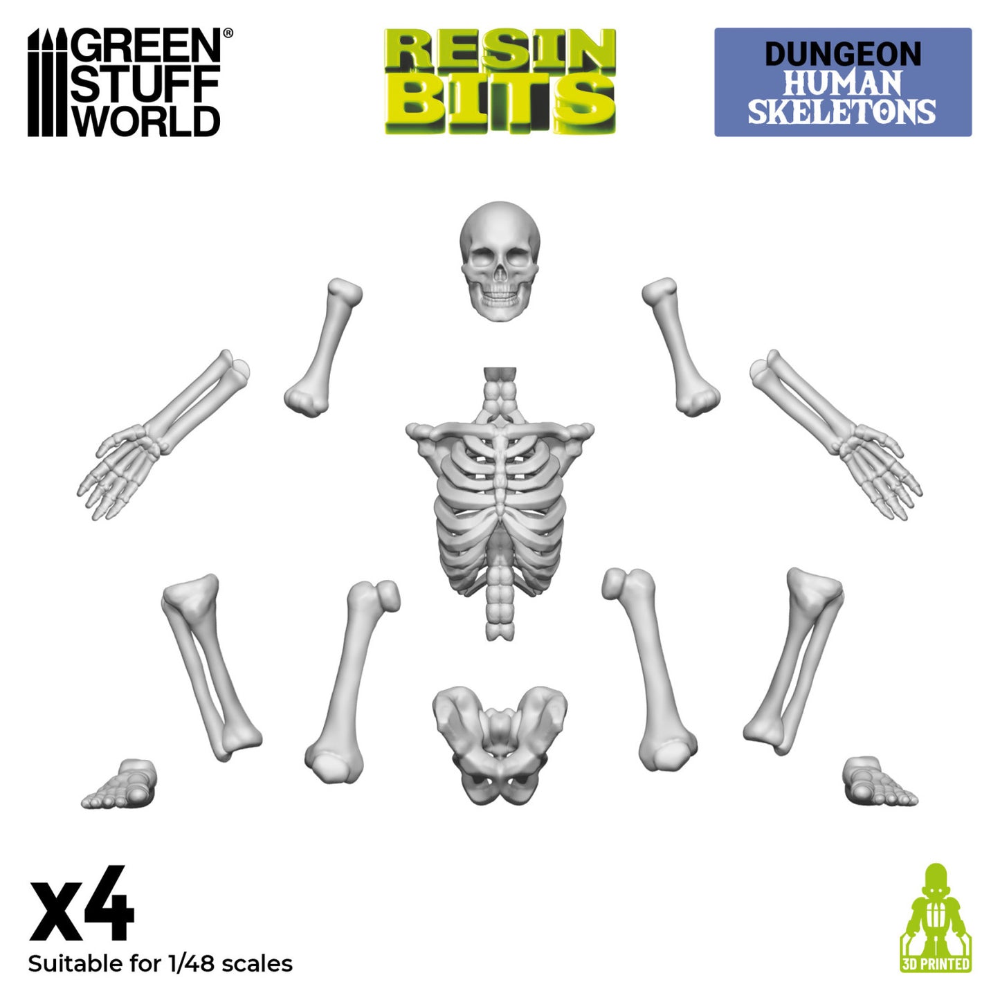 3D Printed: Human Skeletons