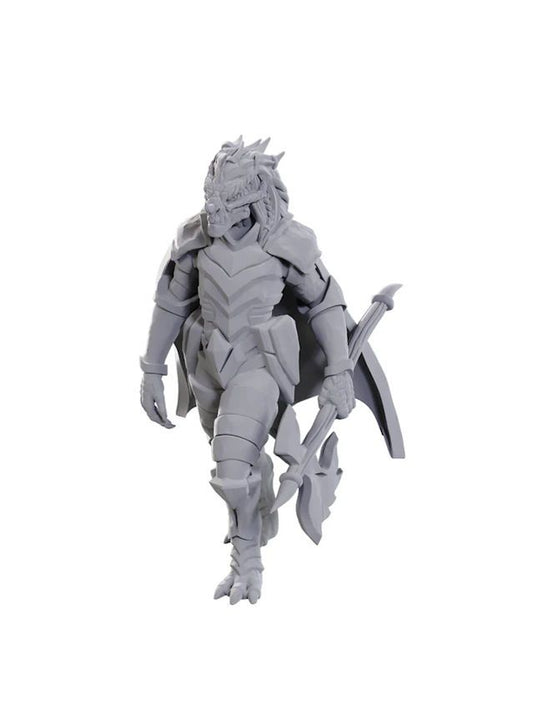 Dragonborn of Tiamat (W25)