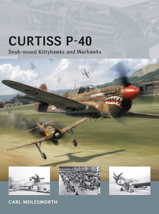 AIR 11 – Curtiss P-40