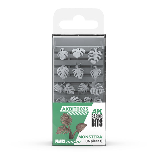 AKBIT0025 Monstera