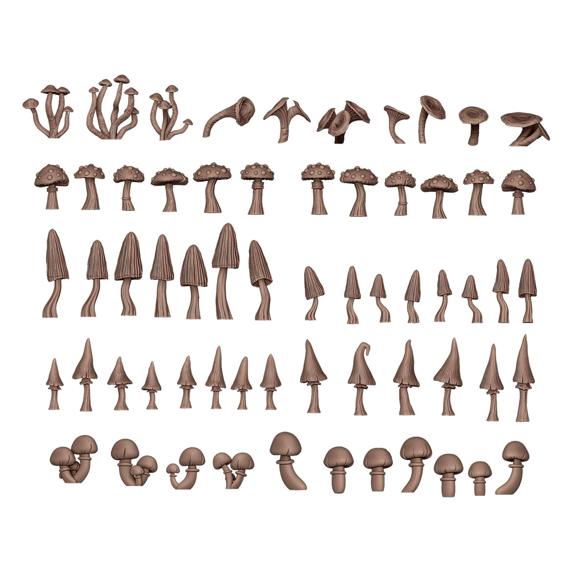 AKBIT0005 Forest Mushrooms