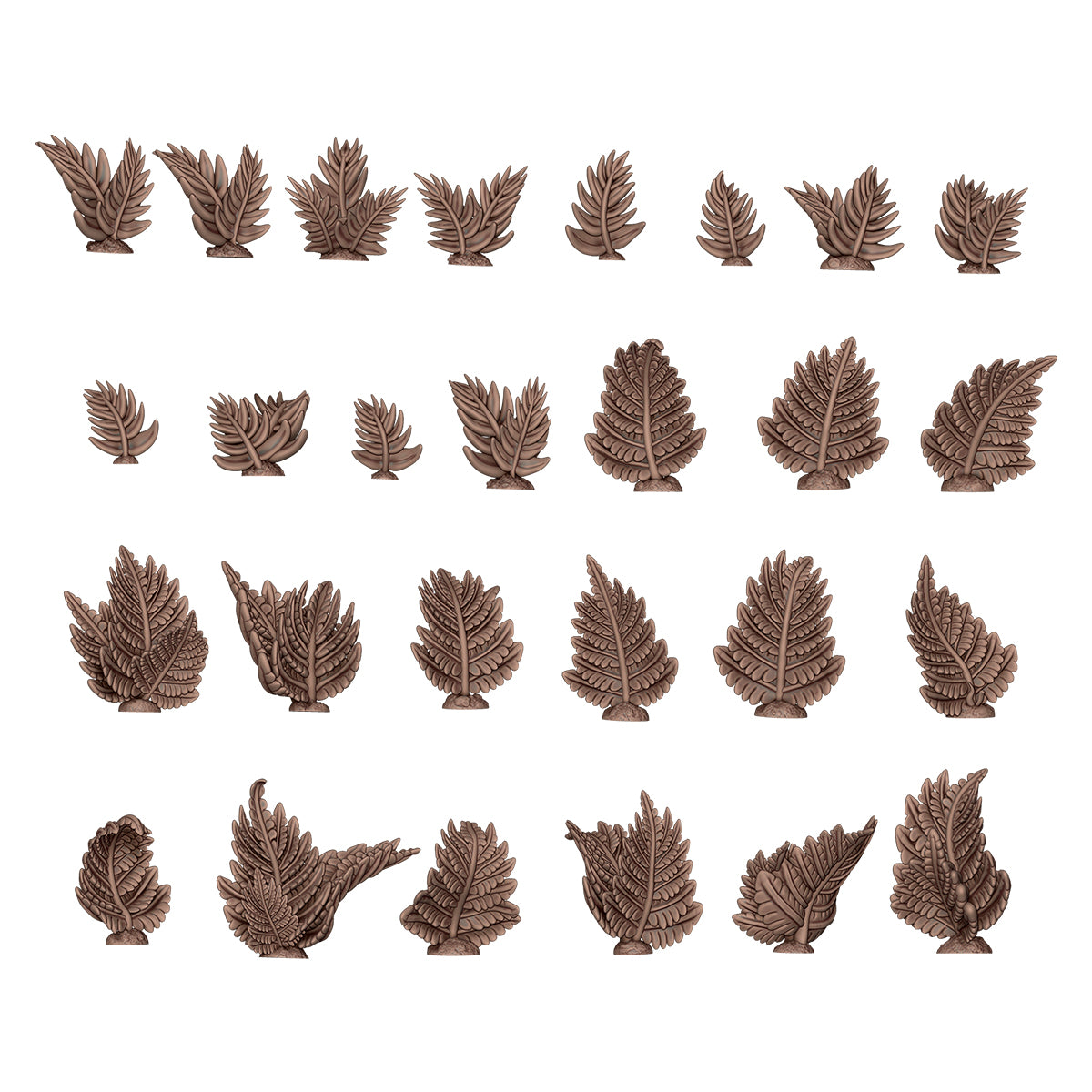 AKBIT0007 Fern