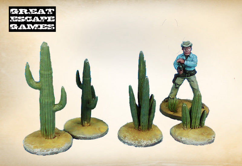 Cacti II