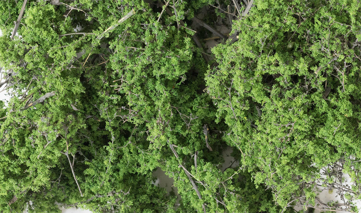 WF1131 Medium Green Fine Leaf Foliage