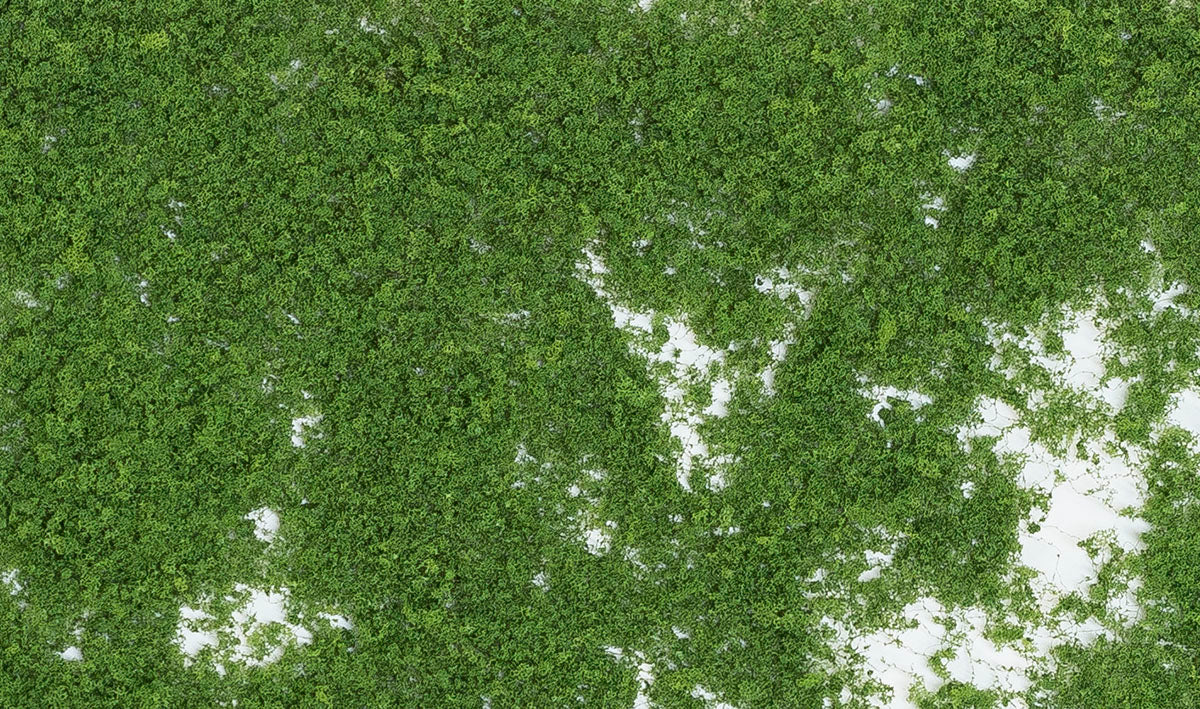 WF52 Medium Green Foliage