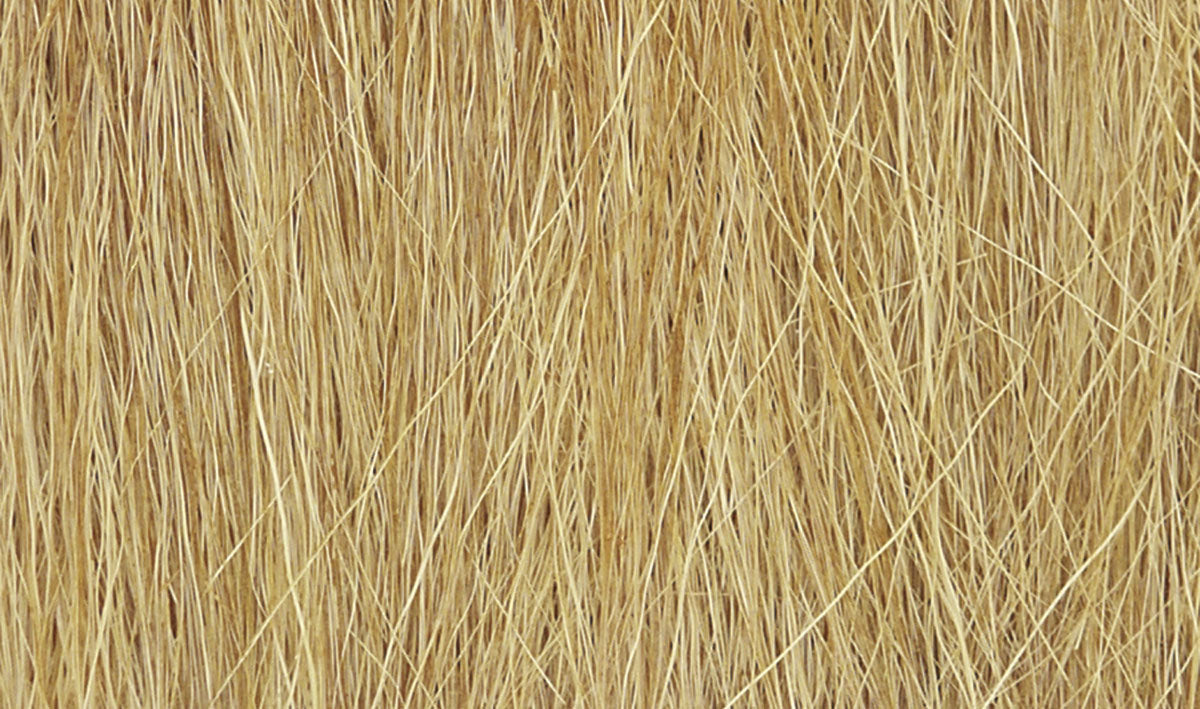 WFG172 Harvest Gold Field Grass