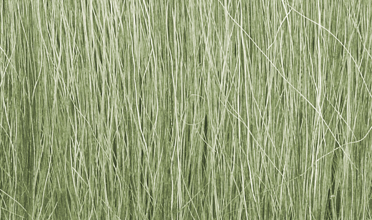 WFG173 Light Green Field Grass