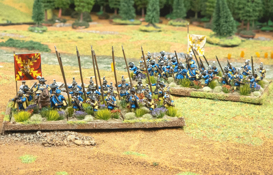 By Fire and Sword II: Foot Guard