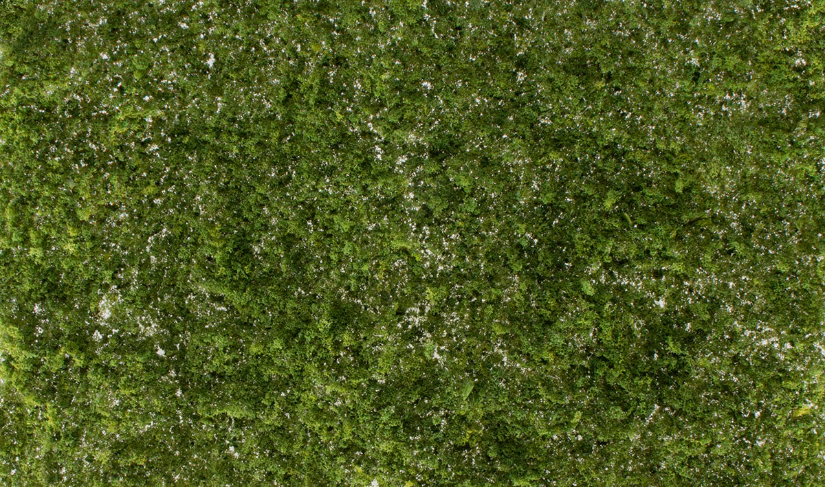 WG6493 Light Green Super Foliage