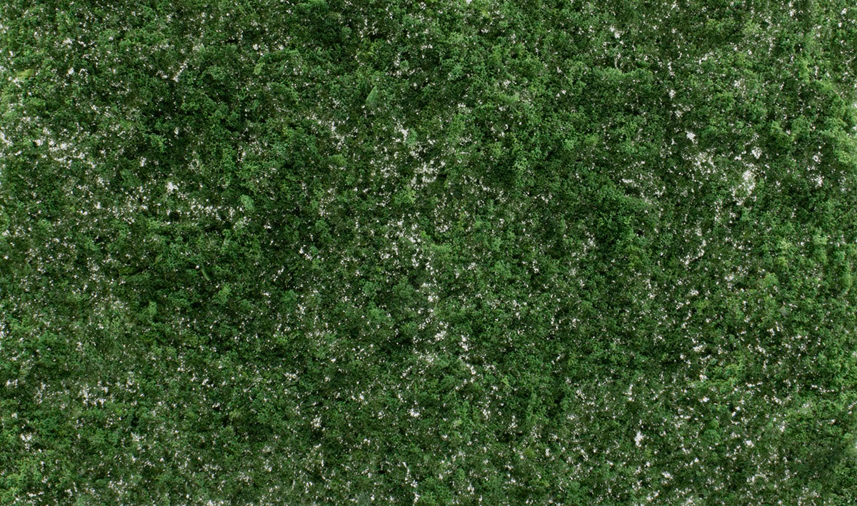 WG6494 Dark Green Super Foliage