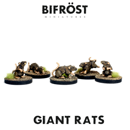 Giant Rats